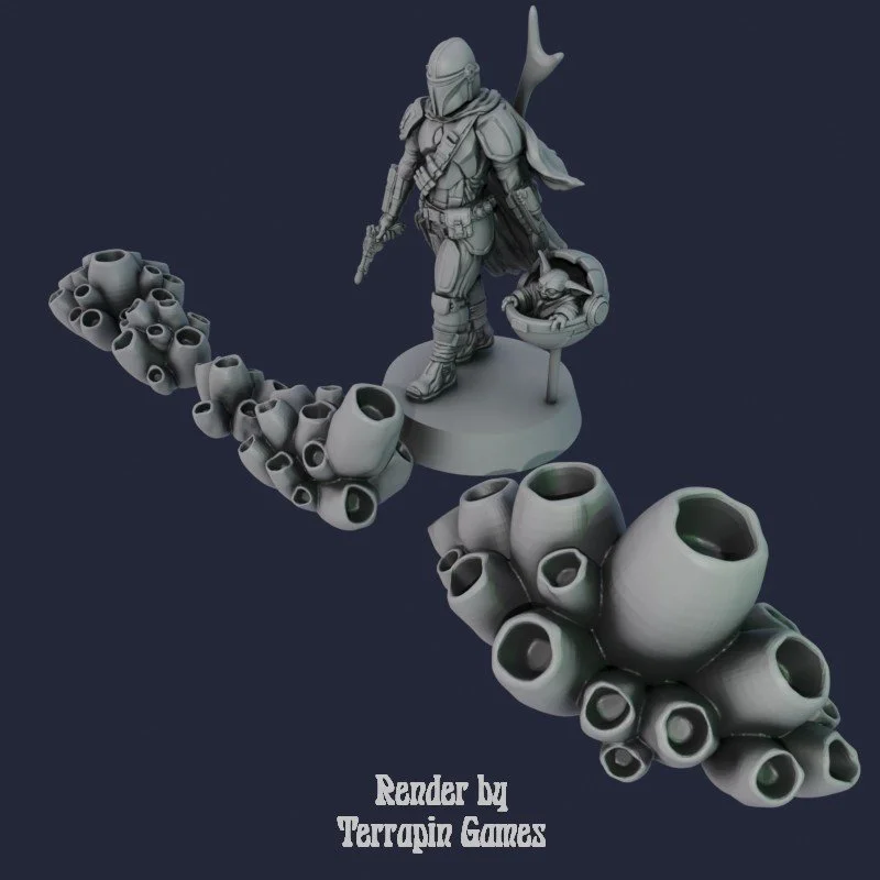 5 SMALL BARNACLE_1.jpg