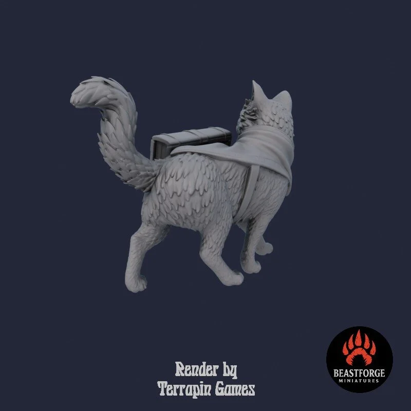 ARCANE_CAT_1_4.jpg