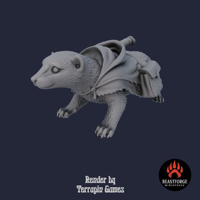 Mystic Companions - Rogue Ferret 1