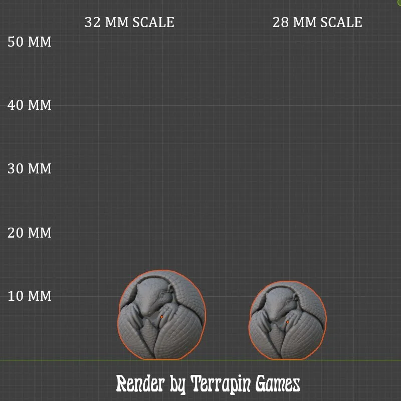 ARMADILLO_1_SCALE.JPG