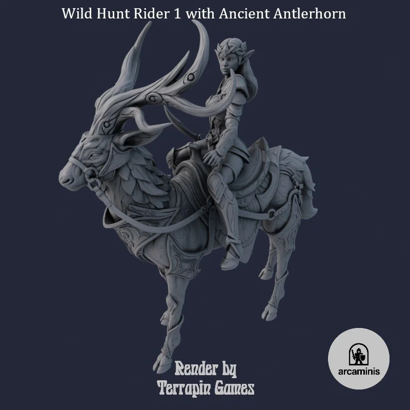 Elven Kingdom - Wild Hunt Rider 1 and Mount