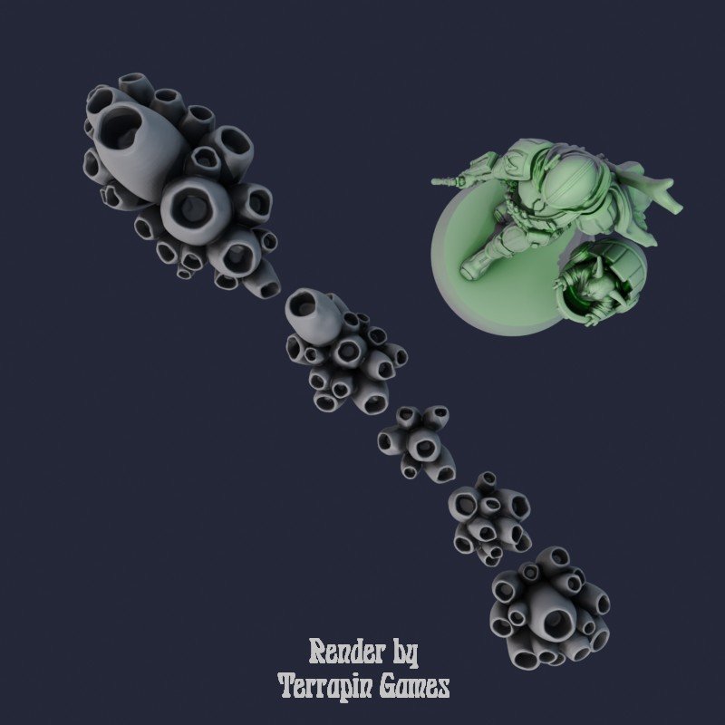 5 SMALL BARNACLE_3.jpg