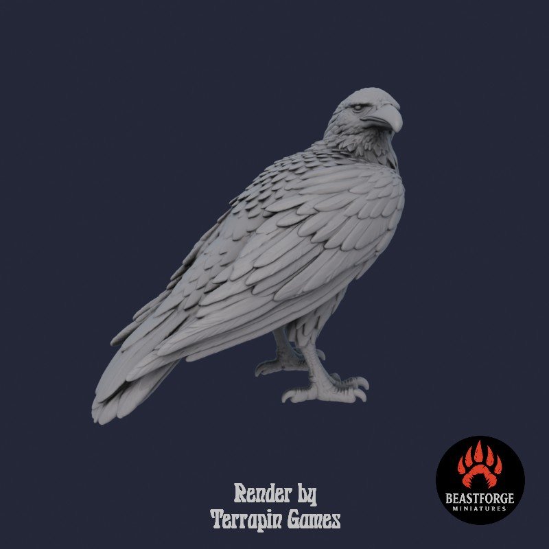 GIANT_RAVEN_1_3.jpg