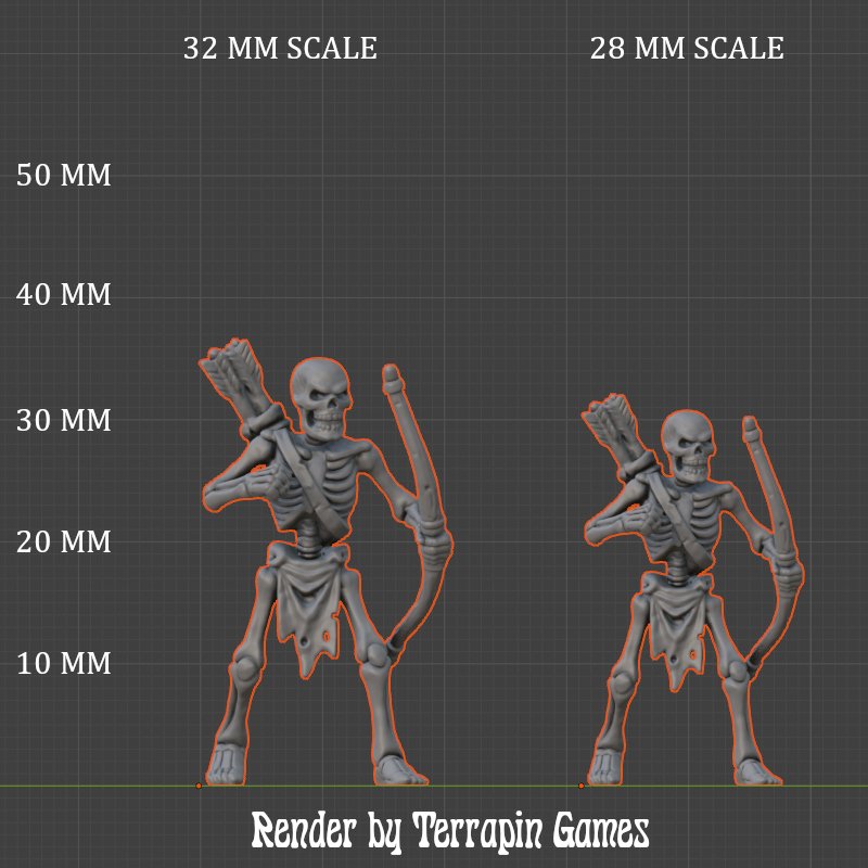 SKELETON_BOWMAN_2_SCALE.JPG