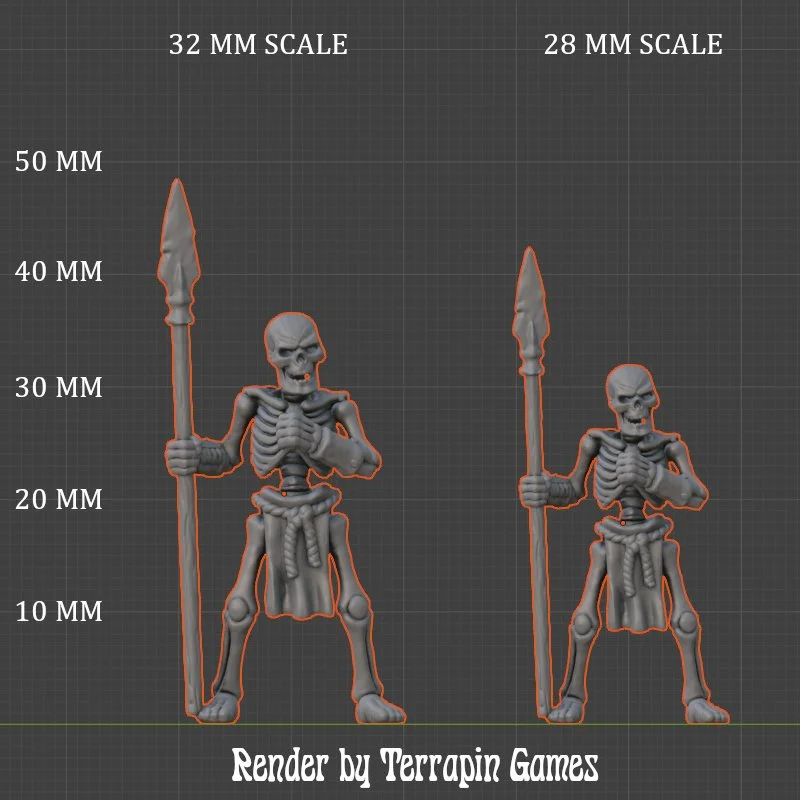 SKELETON_2_SCALE.JPG