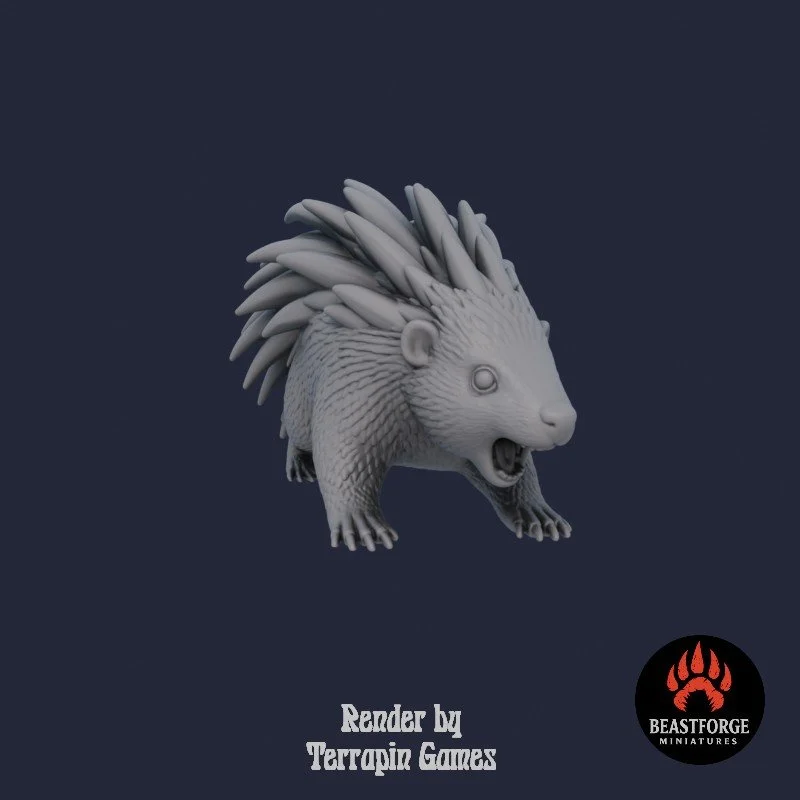 PORCUPINE_2_2.jpg