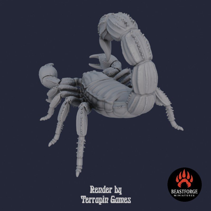 DESERT_SCORPION_1_4.jpg