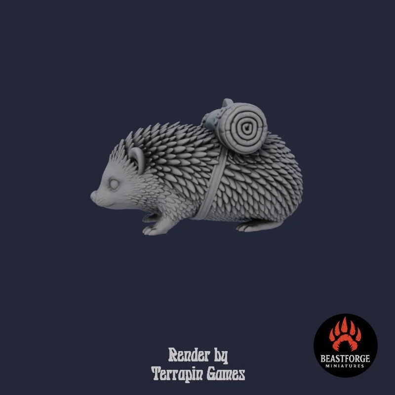 HEDGEHOG_1_2.jpg