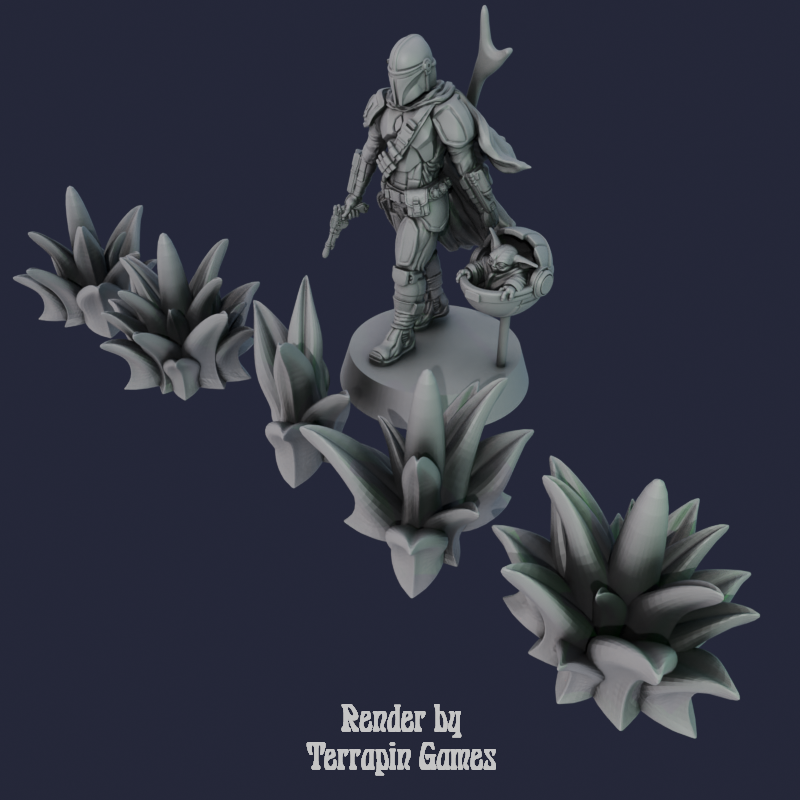 5 SMALL AGAVE_1.png