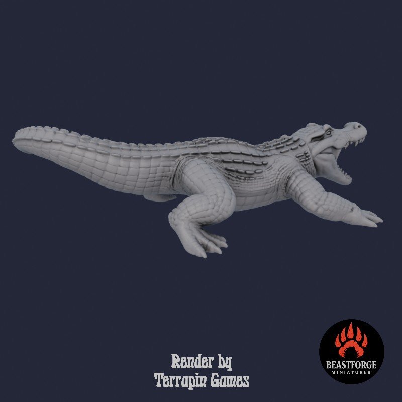 SWAMP_CROCODILE_2_4.jpg
