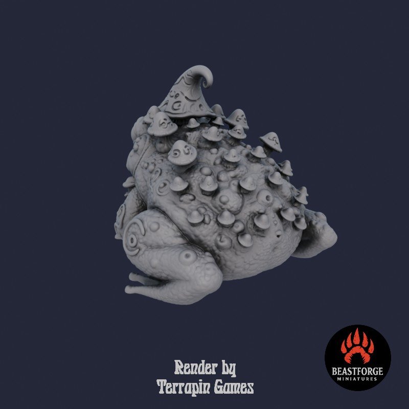ARCANE_TOAD_1_3.jpg