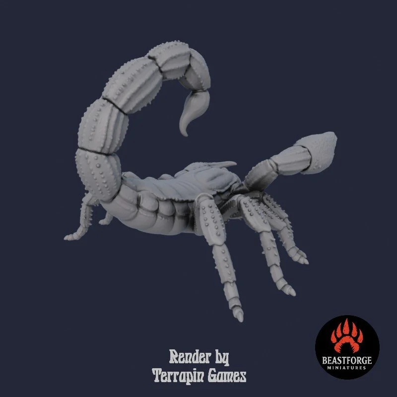 DESERT_SCORPION_2_3.jpg