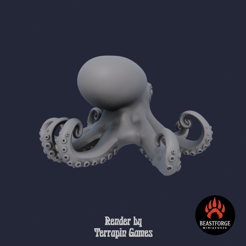 OCTOPUS_1_3.jpg