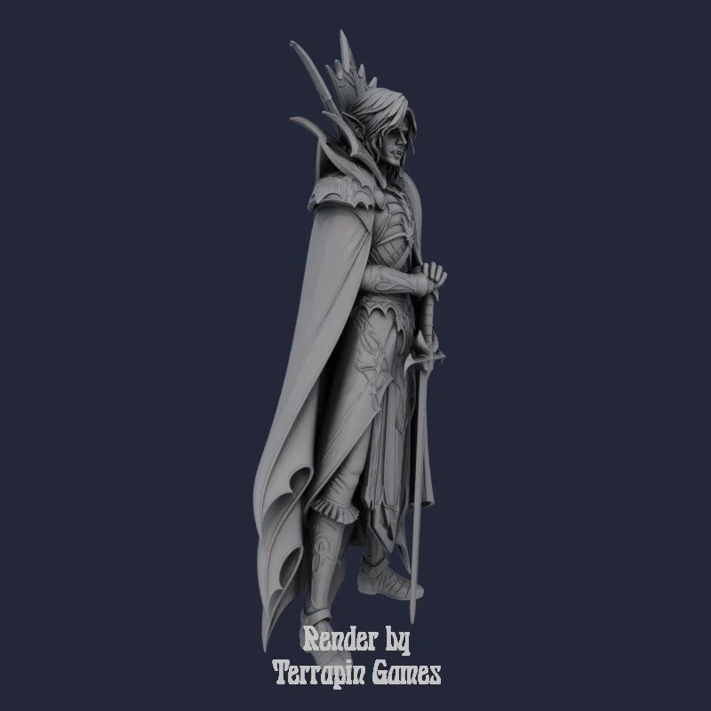SIR_DARIUS_SWORDSMAN_3.jpg