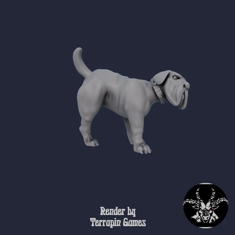 HUNTING_HOUND_3_3.jpg