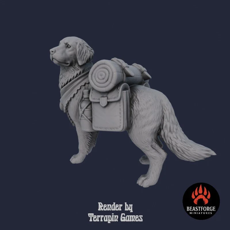 TRAVELER_DOG_1_2.jpg