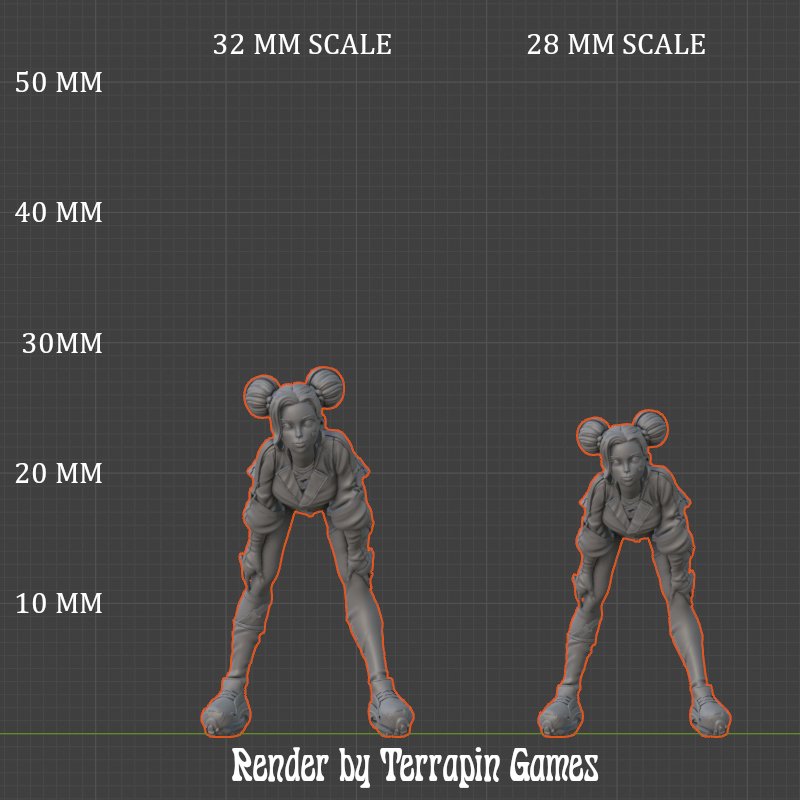 ARI_BLAZE_SCALE.jpg