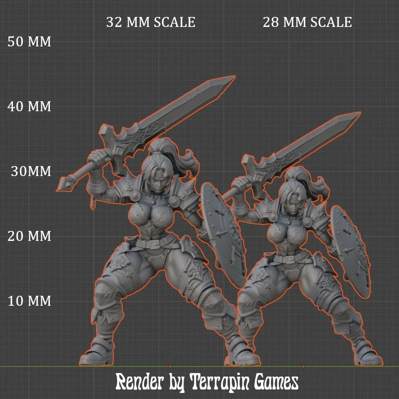 WARRIOR_3_SCALE.JPG