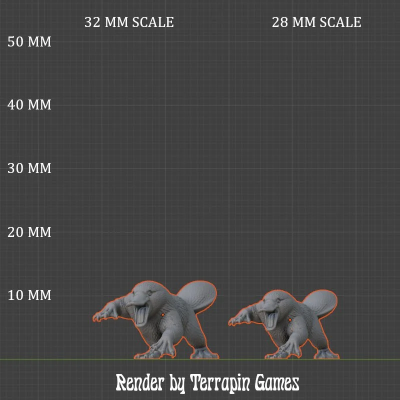 PLATYPUS_2_SCALE.JPG