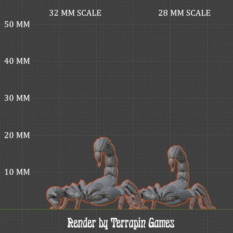 DESERT_SCORPION_1_SCALE.JPG