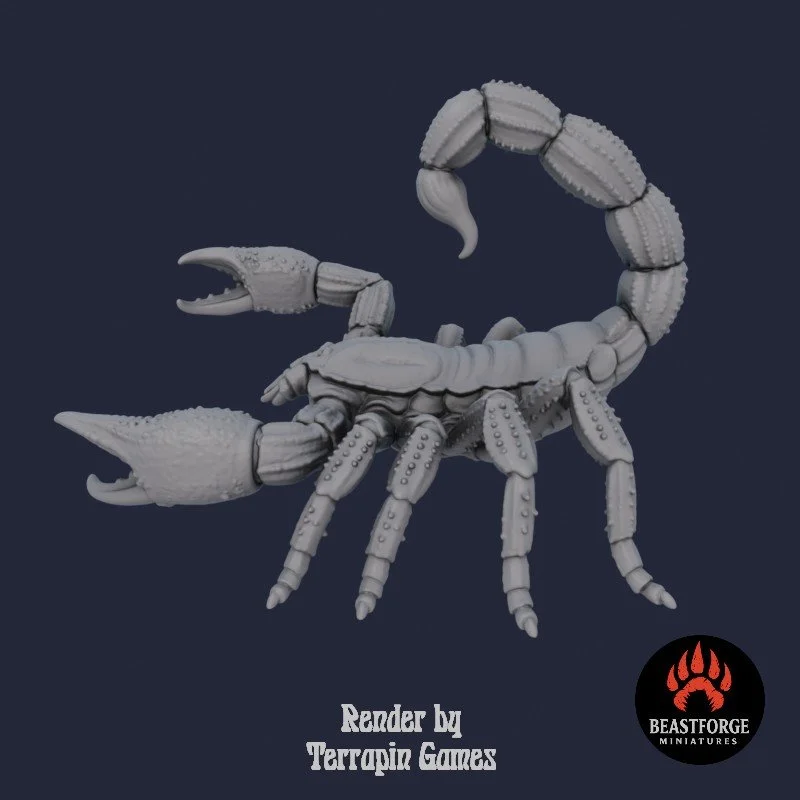 DESERT_SCORPION_2_2.jpg
