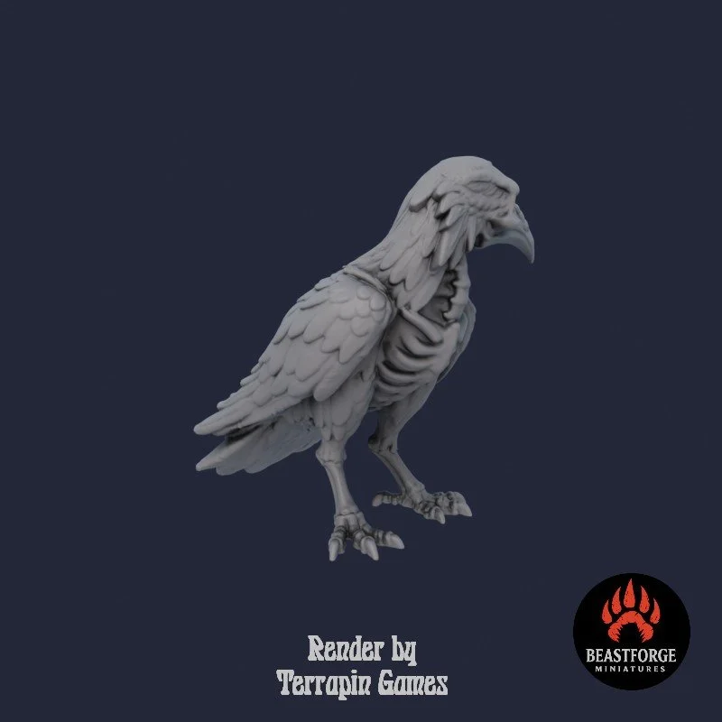 BONE_RAVEN_1_3.jpg