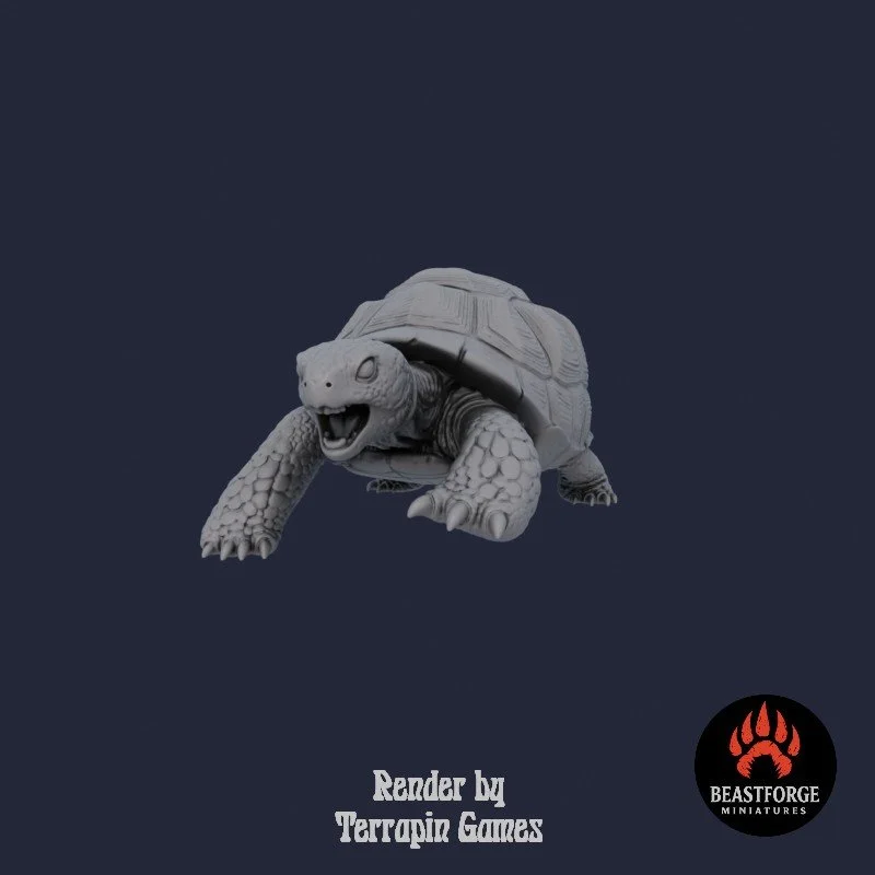 Mystic Companions - Tortoise 2