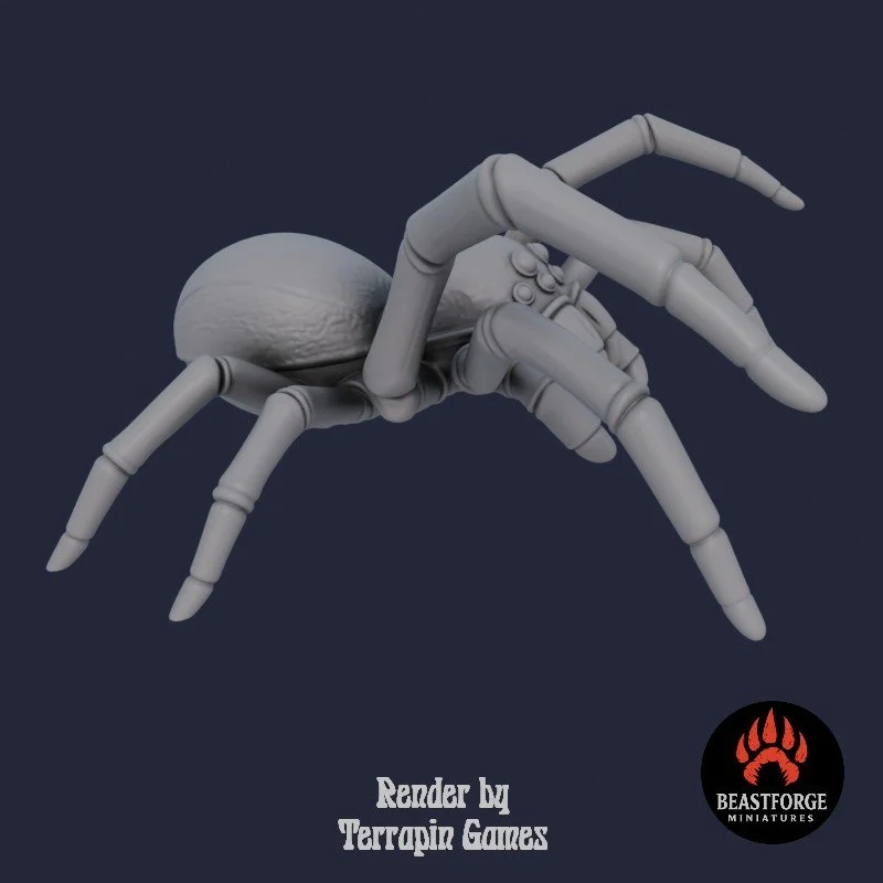 GIANT_SPIDER_2_3.jpg