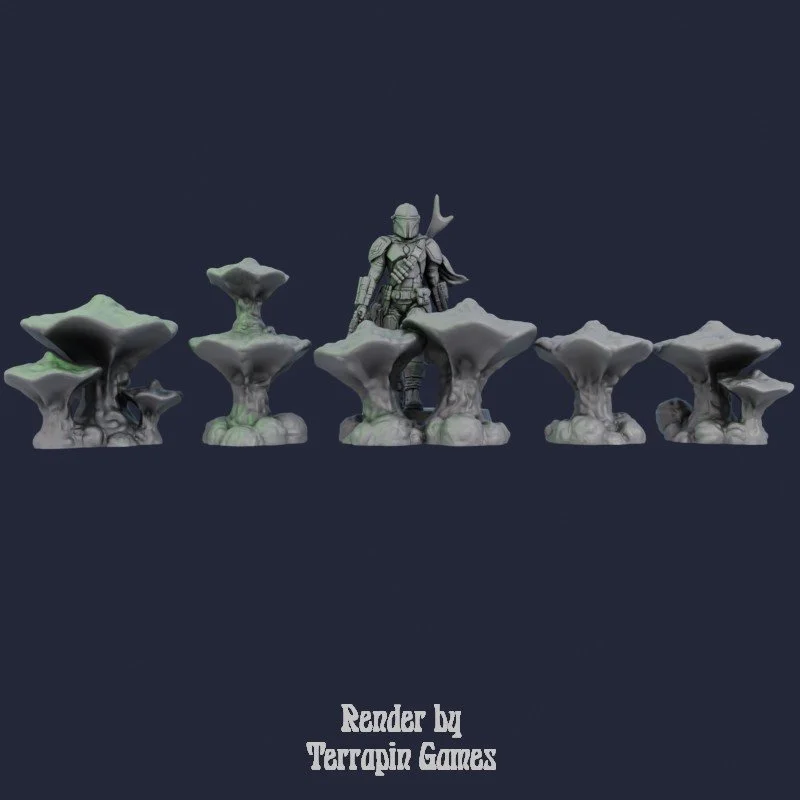 5 SMALL MUSHROOM_2.jpg