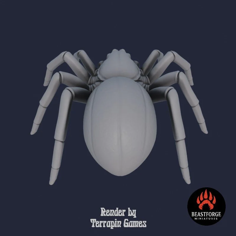 GIANT_SPIDER_1_4.jpg