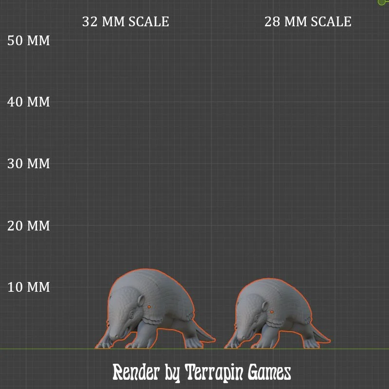 ARMADILLO_2_SCALE.JPG
