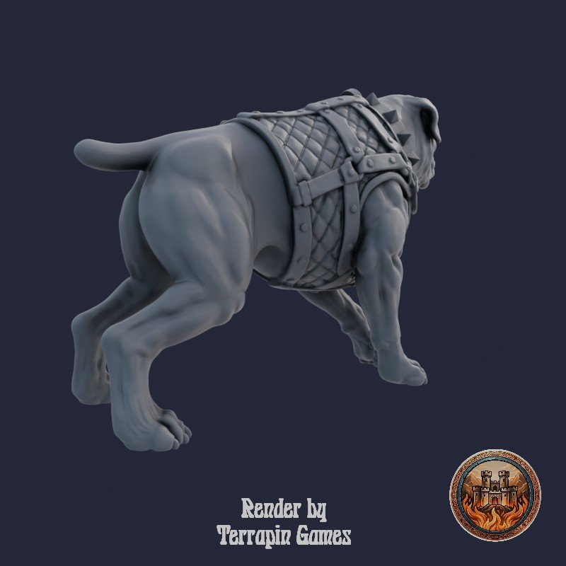MASTIFF_A_3.jpg