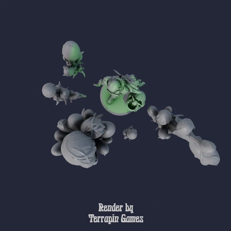 5 MIXED BLOB PLANTS 4.jpg