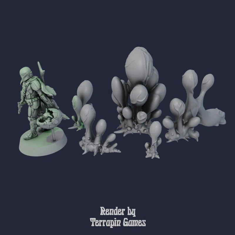 5 MIXED BLOB PLANTS 2.jpg