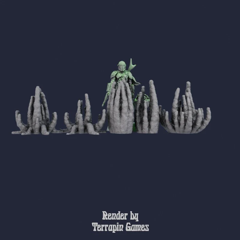 5 SMALL ROOT_2.jpg