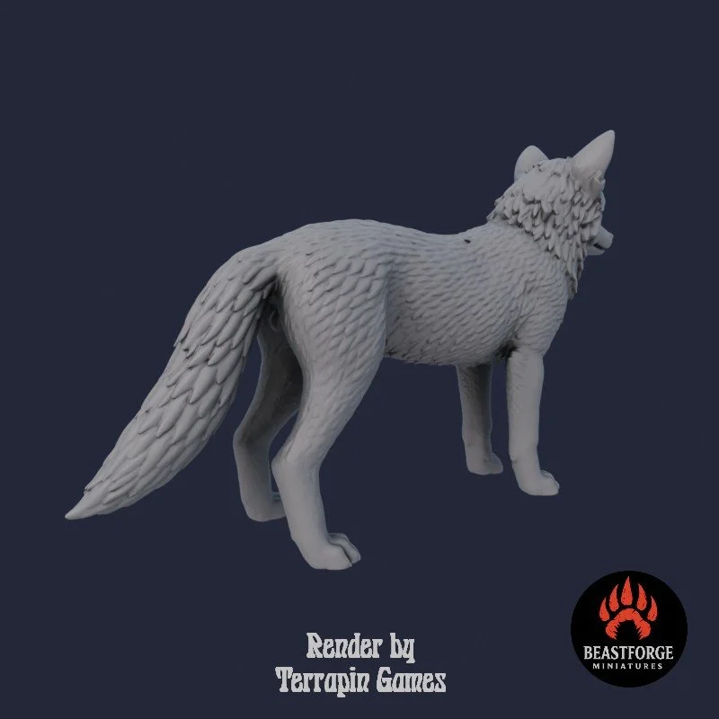 YOUNG_WOLF_1_3.jpg