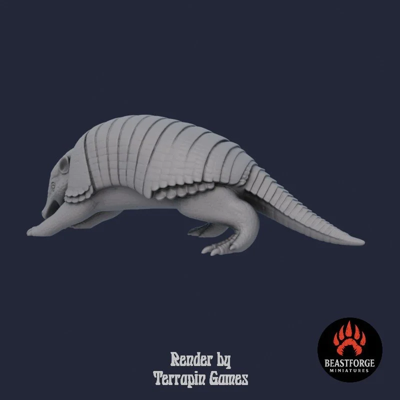ARMADILLO_2_3.jpg