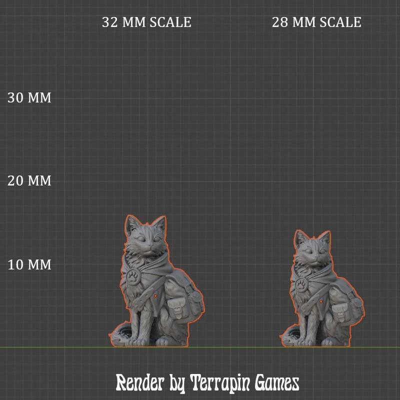 ADVENTURE_CAT_1_SCALE.jpg