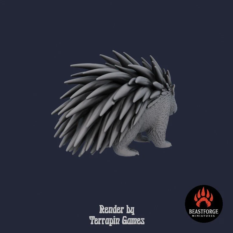 PORCUPINE_1_4.jpg