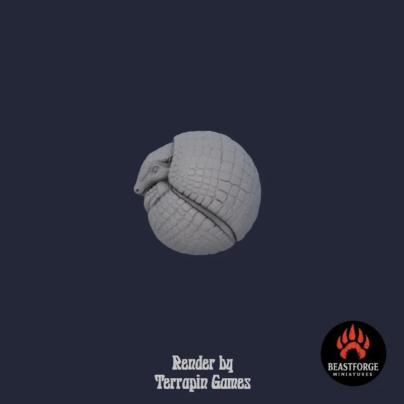 ARMADILLO_1_3.jpg