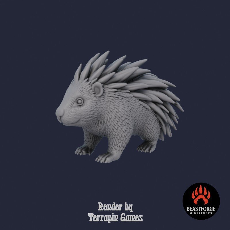 Mystic Companions - Porcupine 1