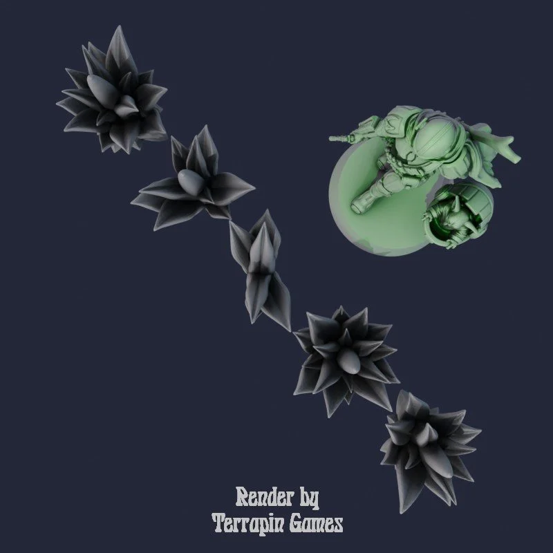 5 SMALL AGAVE_3.jpg