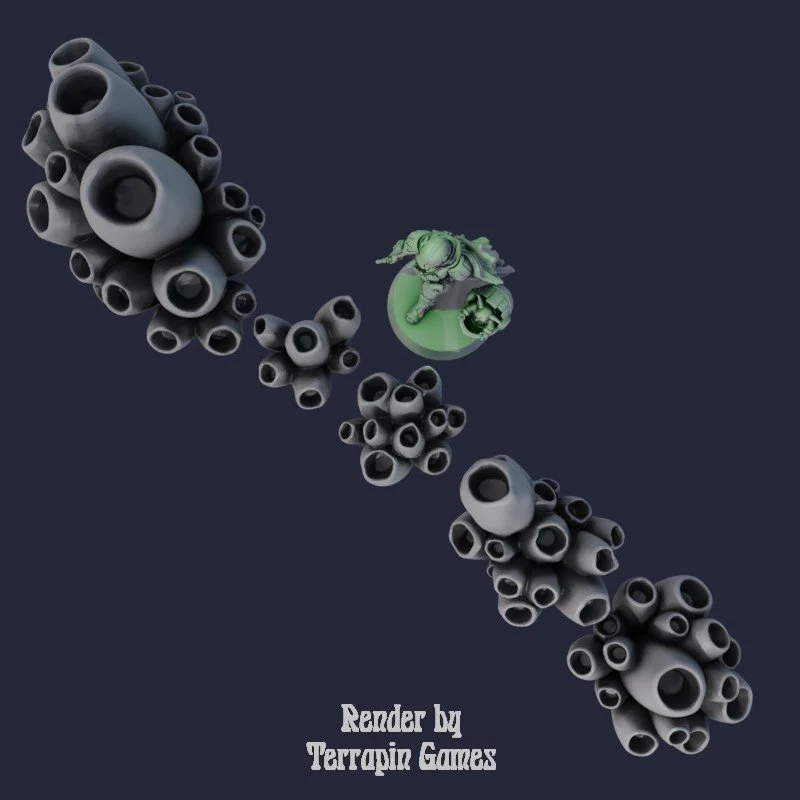 5 LARGE BARNACLES 3.jpg