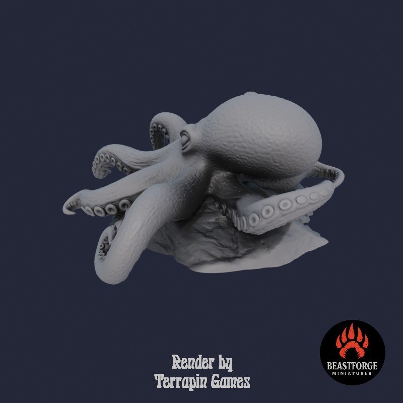 OCTOPUS_2_4.jpg