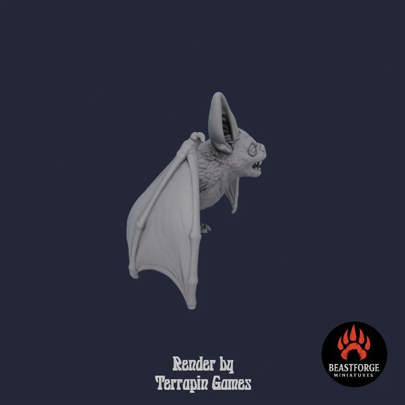 CAVE_BAT_1_3.jpg