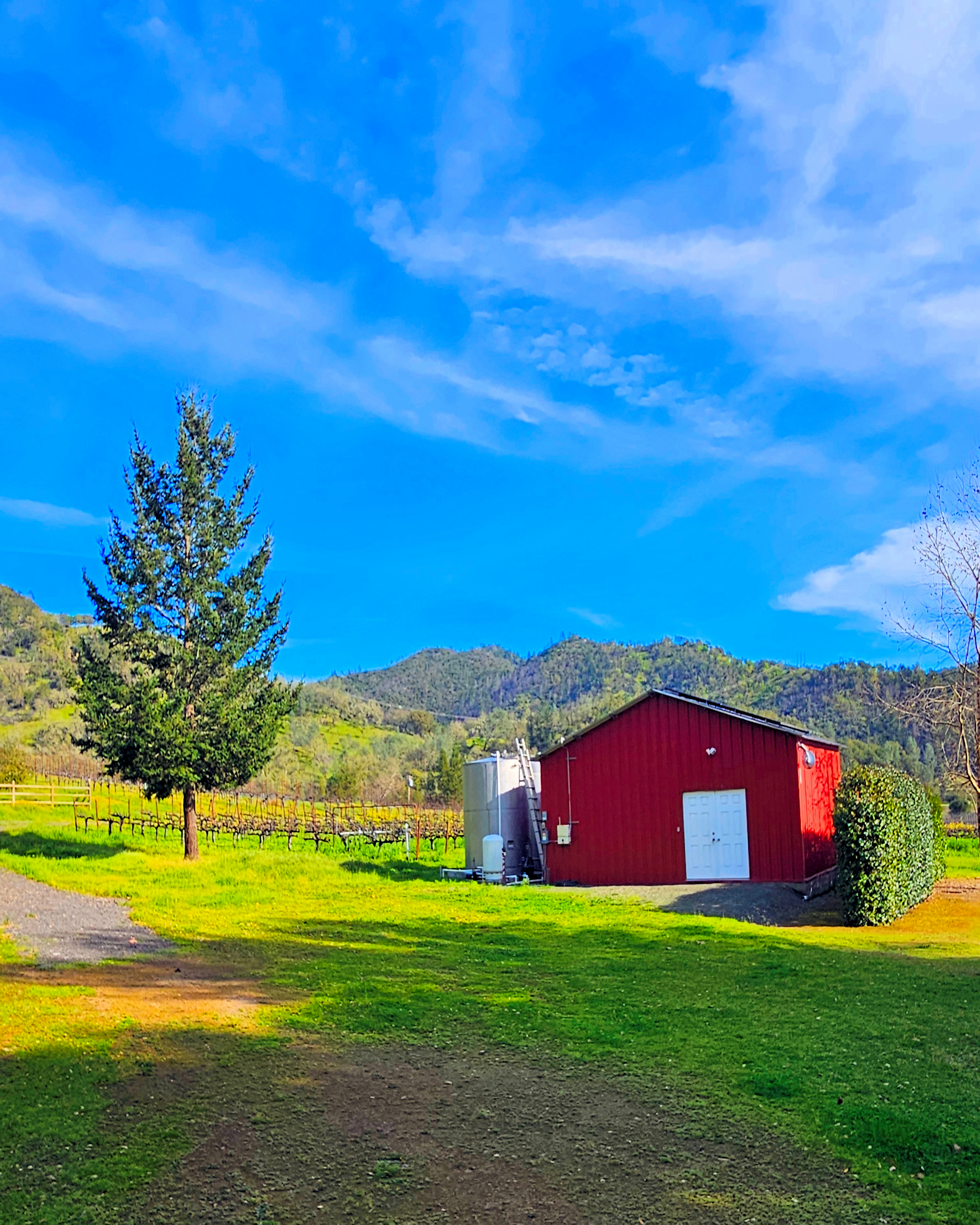 Red Barn