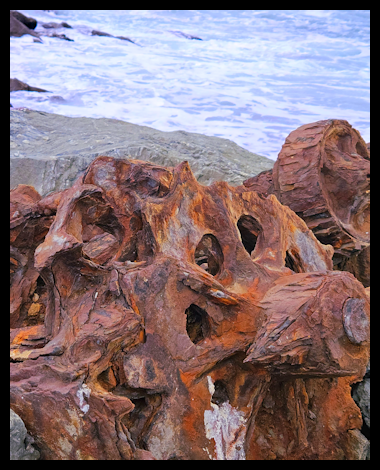 Return to the sea