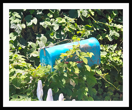 Blue mailbox -Revisited