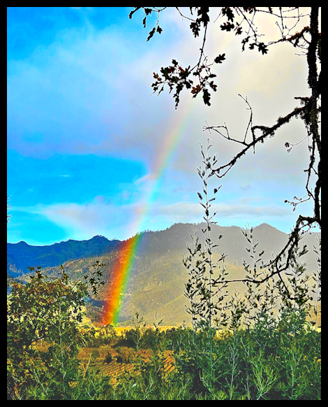 Rainbow appearing over a mountain landscape with greenery and trees in the foreground.