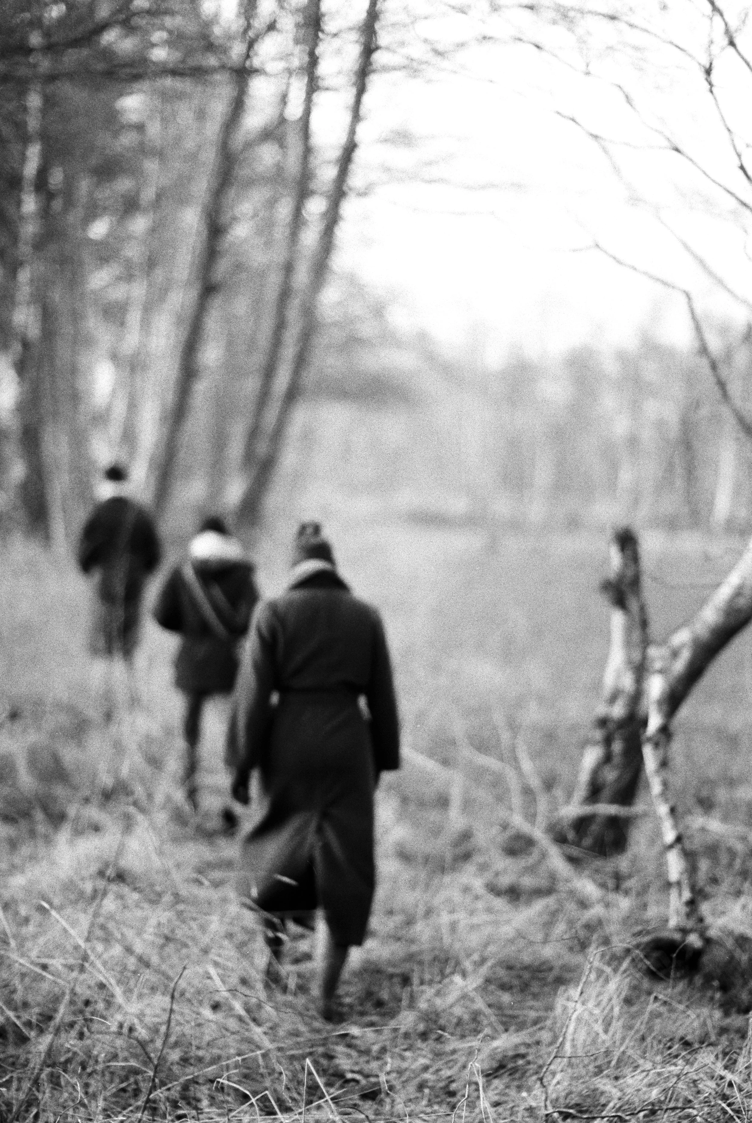 Four children walking through a barren, wooded area with leafless trees on a foggy day.